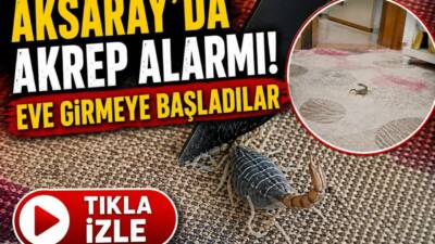 Aksaray’ın Gençosman köyünde müstakil bir eve giren akrep, ev halkını