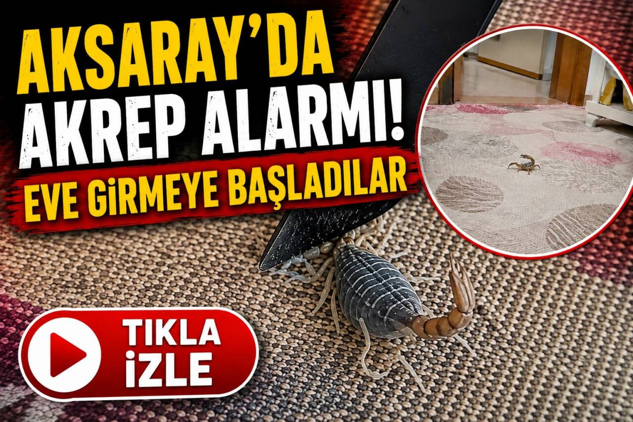 Aksaray’ın Gençosman köyünde müstakil bir eve giren akrep, ev halkını