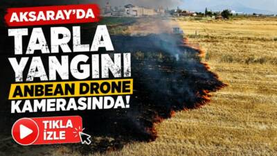 Aksaray-Ankara karayolunun 7’nci kilometresinde bir tarlada meydana geldi. Yangın görüntüsü