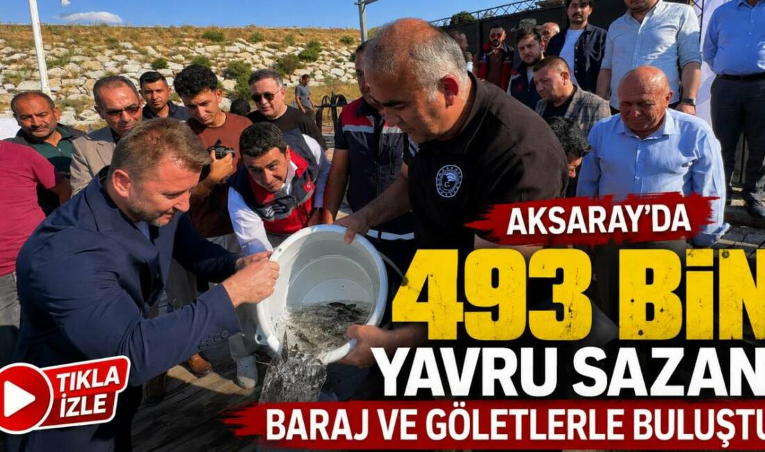 Aksaray’da 493 Bin Yavru Sazan Baraj ve Göletlerle Buluştu Aksaray’da Tarım ve Orman Bakanlığı’nın Su Kaynaklarının Balıklandırılması Projesi kapsamında