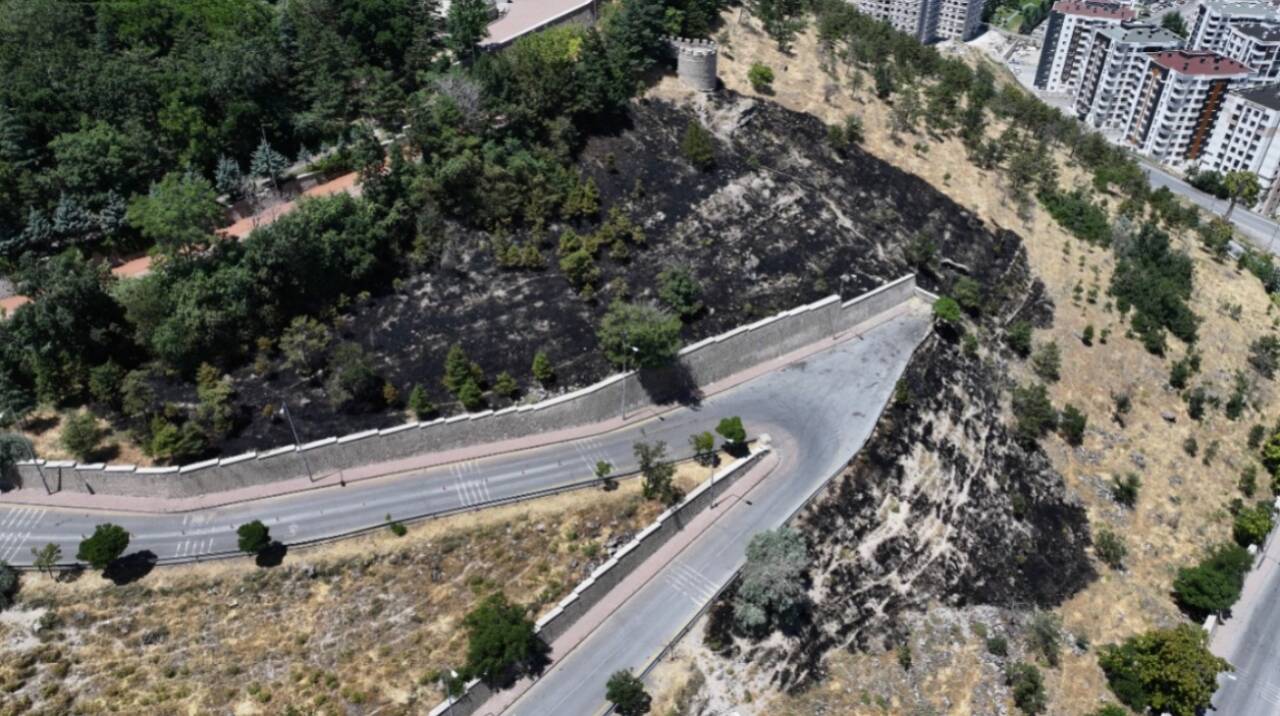 Kayseri'nin merkez Melikgazi ilçesinde otluk alanda çıkan yangın, itfaiye ekiplerinin