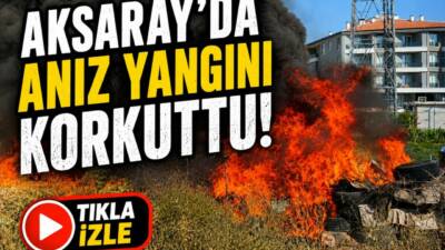 Aksaray-Nevşehir kara yolunda çıkan anız yangını kısa süreli paniğe neden