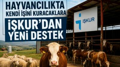 Aksaray’da İŞKUR’un 2026/4. Dönem Kendi İşini Kurma Desteği kapsamında hayvancılık