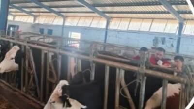 Aksaray Tarım ve Orman İl Müdürlüğü ekipleri, Hastalıktan Ari İşletme