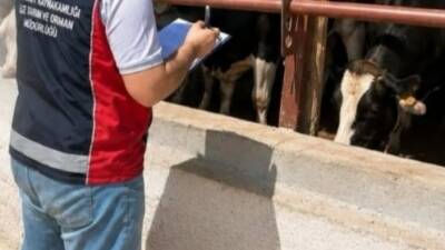 Aksaray Tarım ve Orman İl Müdürlüğü, hayvancılık işletmelerine yönelik güncelleme