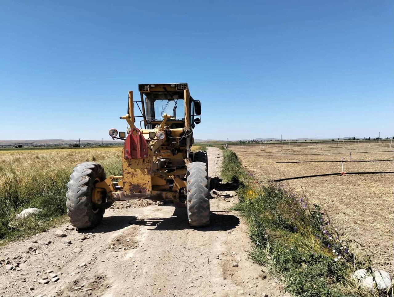 Gülağaç Belediyesi, yaklaşan harman sezonu öncesinde tarım arazi yollarında bakım